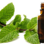 Huile Essentielle MENTHE POIVREE Bio