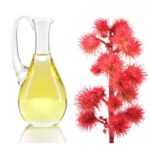 Huile Végétale de Ricin Bio "Huile de Castor"