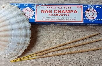 Bâtonnet Encens Satya Nag Champa Argabatti classique
