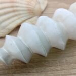 Spirale Sélénite ( Gypse )