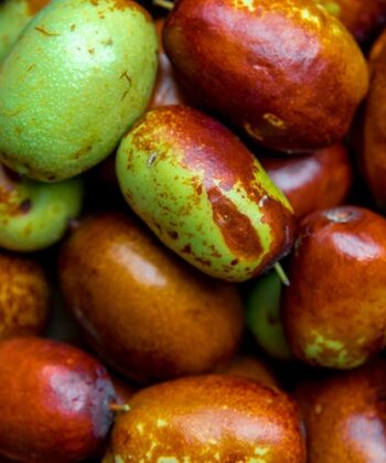 Venant du désert sud-américain, l'huile végétale de Jojoba est utilisée depuis des siècles en raison de ses qualités très intéressantes. Son utilisation est réservée monopole en esthétique pour prendre soin de la peau, favorisant la beauté des tissus de la peau. Hydratant, il peut être utilisé pour la peau grasse et sèche en raison de la capacité de régler et de maintenir un équilibre parfait. De même, ce sera un fort soins capillaires pour tous les types de cheveux. Origines et Traçabilités :  Partie de la plante : Noix Nom Latin : Simmondsia chinensis Link Procédé d'obtention : Pression mécanique à froid (première pression). Qualité : Huile vierge, 100% pure et naturelle, première pression à froid, sans aucun traitement chimique.  Sans additif - Sans conservateur. Cosmétique BioAB* Origine du produit : Pays d'origine : Pérou.