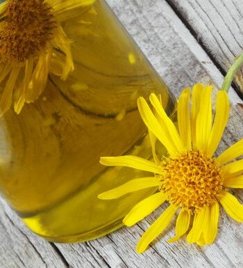 Le macérât huileux d'arnica est un élément essentiel pour soulager les petits tracas quotidiens. Connu pour son utilité auprès des athlètes, il est bénéfique pour les soins pré et post exercice. On le reconnait aussi pour sa capacité à stimuler la circulation. Notre macérat huileux d'Arnica biologique provient de France. Nos producteurs procèdent à la macération des fleurs fraîches d'Arnica (Arnica montana L.) dans une huile de Tournesol BIO, directement sur le site. Nos macérats huileux sont emballés dans des bouteilles en verre opaque, robustes et réutilisables. Origines et Traçabilités :  Nom : MH ARNICA Montana CBIO  TCos Procédé d'obtention : Macération des fleurs ou des parties aériennes fraîches et/ou sèches de fleurs d'arnica dans de l'huile de tournesol biologique désodorisée. (PFVRELARNI18) Macérât huileux d'Arnica CBIO Pays d'origine : France. Lot : 149075 Point Eclair : >91°C DDM : 01/2026  Initial Nom INCI : Helianthus annuus seed oil Qualité : - Certifié par Ecocert Greenlife selon le référentiel COSMOS - Sans ajout de conservateurs, sans aucun traitement chimique.  Sans additif - Cosmétique CBio* - Conditionné par nos soins à Caluire et Cuire (69300), Sérézin du Rhône (69360) et Le Mayet de Montagne (03250) Culture : Biologique, 100% des ingrédients sont issus de l’agriculture biologique. Procédé de fabrication contrôlé. Caractéristiques certifiées par Bureau Veritas Certification France. Eco Cert.