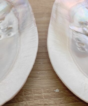 La nacre a connu depuis des siècles son puissant effet de purification et d'élévation. Donc, le pouvoir du coquillage est dans la nacre. C'est pourquoi ce type de coquillages est souvent utilisé pour brûler la sauge blanche et ainsi purifier l'aura ou l'espace de vie de quelqu'un. Si vous utilisez le coquillage à cet effet, mettez du sable dedans pour éviter qu'il ne soit trop chaud. Ce coquillage est également ravissant pour y garder vos bijoux ou tout autre objet précieux. Attention: il peut arriver que la perle de ce coquillage ne soit pas complètement développée. Taille cm : 15-16 cm parfois un peu plus. Poids grammes : 110 gr Matière première : Coquille Poids total gr. :  119 gr Pays d'origine : Chine Les motifs et couleurs peuvent varier d’une pierre à une autre. Les minéraux vendus sont tous uniques. Photos contractuelles de produits en vente qui ont servi de modèles. Nous contacter pour recevoir des photos et descriptifs détaillés des pierres , géodes, nodules ou autres minéraux en stock de la même famille que le minéral présenté ici.  Les Photos présentées sont la propriété exclusive de Chris-Thérapies.