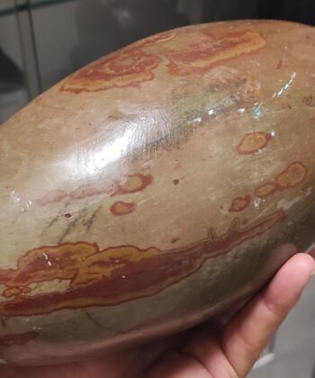 Shiva Lingam ( présenté sur la photo ) Taille : 270 mm x 130 mm ( 27 cm x 13 cm ) Poids :  5718 gr ( 5kg718 ) Chaque Minéral est unique , néanmoins les modèles de 5,5 à 6kg sont au même tarif. soit 176€40 pièce. Les Shiva lingam sont des pierres qui proviennent de la rivière Narmada, un des sept lieux sacrés de pèlerinage hindou au centre ouest de l’Inde. Cette rivière est née de la transpiration de Shiva selon l’histoire. Le Shiva lingam est de couleur marron, beige à rouge. Sa forme ovoïde représente les énergies de Yin et du Yang. Attention : Les propriétés, modes et indications d’utilisation citées sont issues des ouvrages ou sites Internet de référence. Ces informations sont données à titre informatif. Elles ne sauraient en aucun cas constituer une information médicale, ni engager notre responsabilité. Symbole de dieu dans la mythologie indienne, le Shiva lingam est une pierre sacrée. Pierre très apaisante, elle nous permet d'avoir un soutient lors des conflits intérieurs et extérieurs, purifie les mauvaises ondes et nous donne la force de combattre.