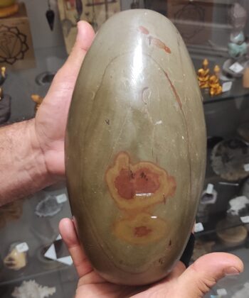 Shiva Lingam ( présenté sur la photo ) Taille : 270 mm x 130 mm ( 27 cm x 13 cm ) Poids :  5718 gr ( 5kg718 ) Chaque Minéral est unique , néanmoins les modèles de 5,5 à 6kg sont au même tarif. soit 176€40 pièce. Les Shiva lingam sont des pierres qui proviennent de la rivière Narmada, un des sept lieux sacrés de pèlerinage hindou au centre ouest de l’Inde. Cette rivière est née de la transpiration de Shiva selon l’histoire. Le Shiva lingam est de couleur marron, beige à rouge. Sa forme ovoïde représente les énergies de Yin et du Yang. Attention : Les propriétés, modes et indications d’utilisation citées sont issues des ouvrages ou sites Internet de référence. Ces informations sont données à titre informatif. Elles ne sauraient en aucun cas constituer une information médicale, ni engager notre responsabilité. Symbole de dieu dans la mythologie indienne, le Shiva lingam est une pierre sacrée. Pierre très apaisante, elle nous permet d'avoir un soutient lors des conflits intérieurs et extérieurs, purifie les mauvaises ondes et nous donne la force de combattre.