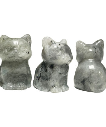 Statuette chat en Labradorite : La force d'un cristal est associée à l'énergie qu'il dégage, et chaque cristal a sa propre fréquence de vibration distincte. L'utilisation de la pierre naturelle pour la décoration intensifie les vibrations, offrant des bénéfices supplémentaires au-delà du simple attrait esthétique! Traditionnellement, le chat porte-bonheur est lié à la prospérité, à l'abondance et à la protection. Cette pièce représente non seulement la chance, mais elle engendre aussi une énergie bénéfique et un équilibre dans n'importe quel environnement. Parfait pour instaurer une ambiance harmonieuse, il représente un élément significatif de votre décoration. Hauteur 4 cm / Largeur 1.5 cm / Epaisseur 2 cm Poids 325 grammes environ Les Photos présentées sont la propriété exclusive de Chris-Thérapies. En Savoir Plus https://chris-therapies.fr/categorie-produit/maison-et-decoration/